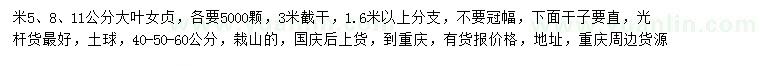 求购米径5、8、11公分大叶女贞