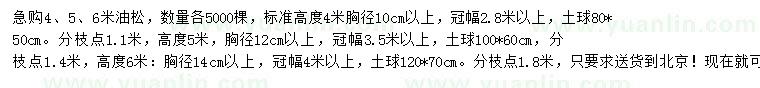 求购4、5、6米油松