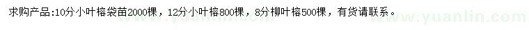 求购10、12公分小叶榕、8公分柳叶榕