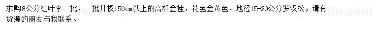 求购红叶李、高杆金桂、罗汉松