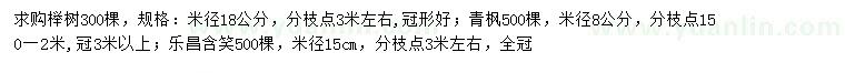 求购榉树、青枫、乐昌含笑