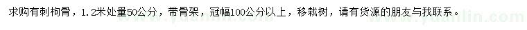 求购1.2米量50公分枸骨