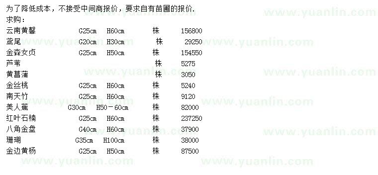 求购云南黄馨、鸢尾、金森女贞等