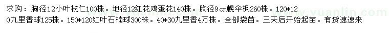 求购小叶榄仁、红花鸡蛋、幌伞枫等