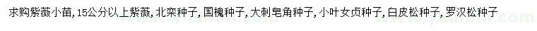 求购紫薇小苗、紫薇、北栾种子等