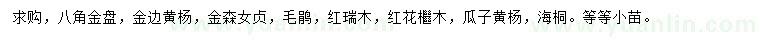 求购八角金盘、金边黄杨、金森女贞等