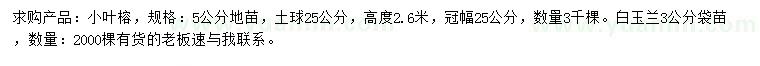 求购5公分小叶榕地苗、3公分白玉兰袋苗