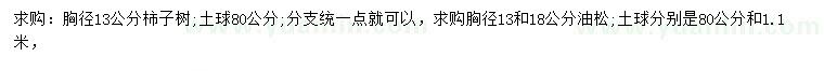 求购胸径13公分柿子树、13、18公分油松