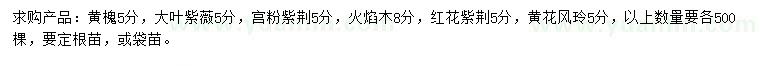 求购黄槐、大叶紫薇、宫粉紫荆等