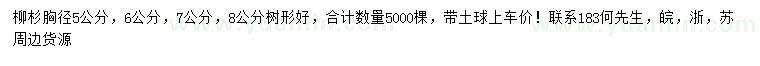 求购胸径5、6、7、8公分柳杉