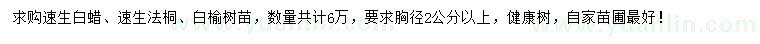 求购速生白蜡、速生法桐、白榆