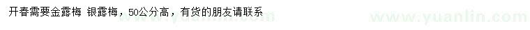 求购高50公分金露梅、银露梅