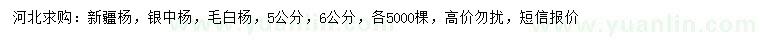 求购新疆杨、银中杨、毛白杨