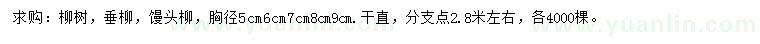 求购柳树、垂柳、馒头柳等