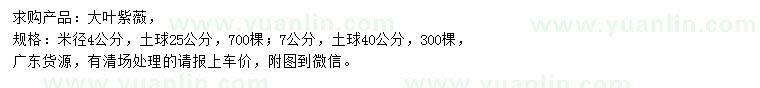 求购米径4、7公分大叶紫薇