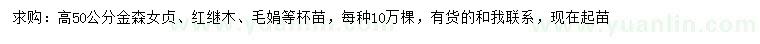 求购金森女贞、红继木、毛娟等杯苗