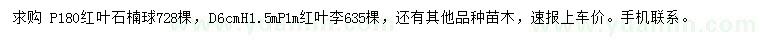 求购冠幅180公分红叶石楠球、地径6公分红叶李