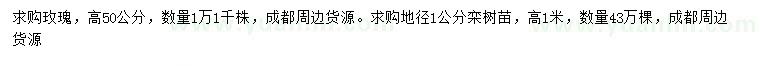 求购高50公分玫瑰、地径1公分栾树苗