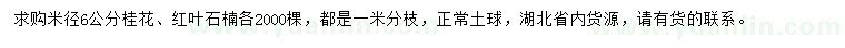 求购米径6公分桂花、红叶石楠