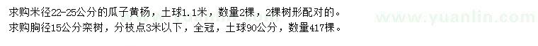 求购米径22-25公分瓜子黄杨、胸径15公分栾树