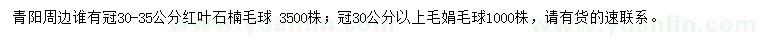 求购冠30-35公分红叶石楠毛球、冠30公分以上毛娟毛球