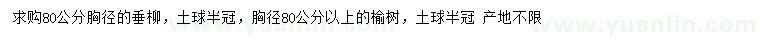 求购胸径80公分垂柳、榆树