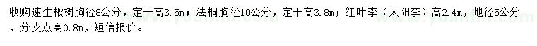 求购速生楸树、法桐、红叶李