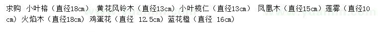 求购小叶榕、黄花风铃木、小叶榄仁等