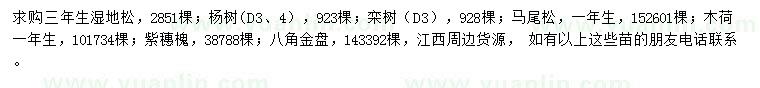 求购湿地松、杨树、栾树等