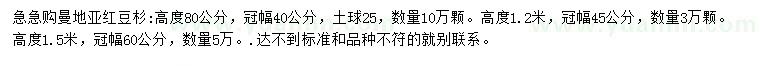 求购高80、120公分曼地亚红豆杉