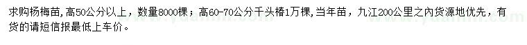 求购高50公分以上杨梅苗、高60-70公分千头椿