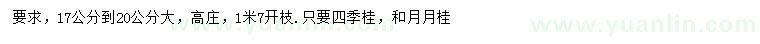 求购17-20公分四季桂、月月桂