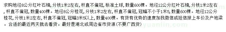 求购地径8、12公分红叶石楠、桂花