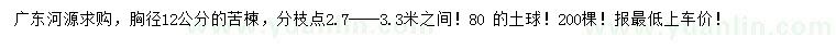 求购胸径12公分苦楝