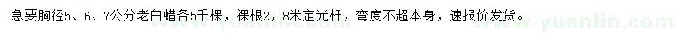 求购胸径5、6、7公分老白蜡