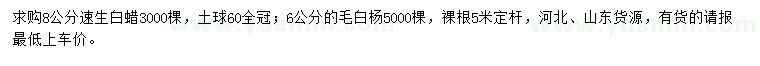 求购8公分速生白蜡、6公分毛白杨