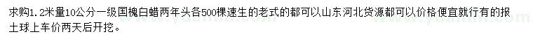 求购1.2米量10公分国槐、白蜡