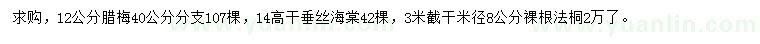 求购腊梅、垂丝海棠、法桐