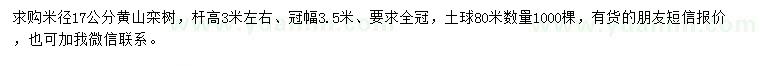 求购米径17公分黄山栾树