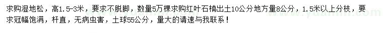 求购高1.5-3米湿地松、出土10公分地方量8公分红叶石楠