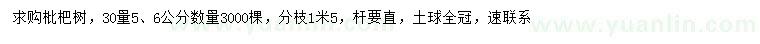 求购30量5、6公分枇杷树