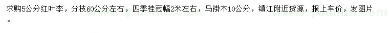 求购红叶李、四季桂、马褂木