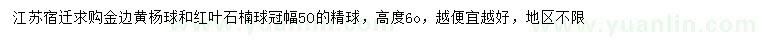 求购冠幅50公分金边黄杨球、红叶石楠球