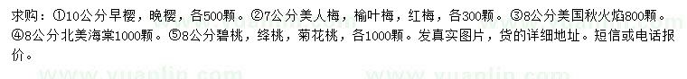 求购早樱、晚樱、美人梅等