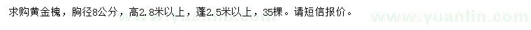 求购胸径8公分黄金槐