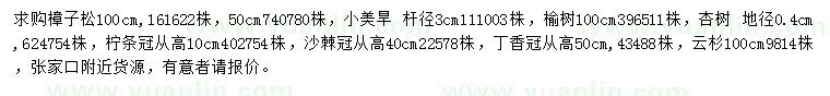 求购樟子松、小美旱杨、榆树等