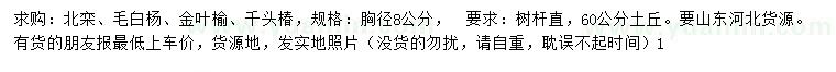 求购北栾、毛白杨、金叶榆等