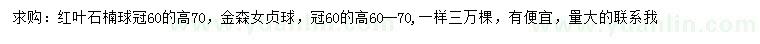 求购高70公分红叶石楠球、金森女贞球