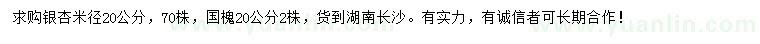 求购米径20公分银杏、国槐