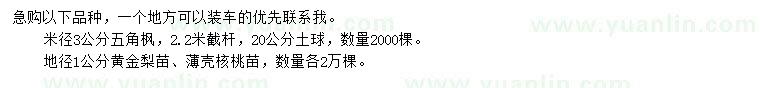 求购五角枫、黄金梨苗、薄壳核桃苗